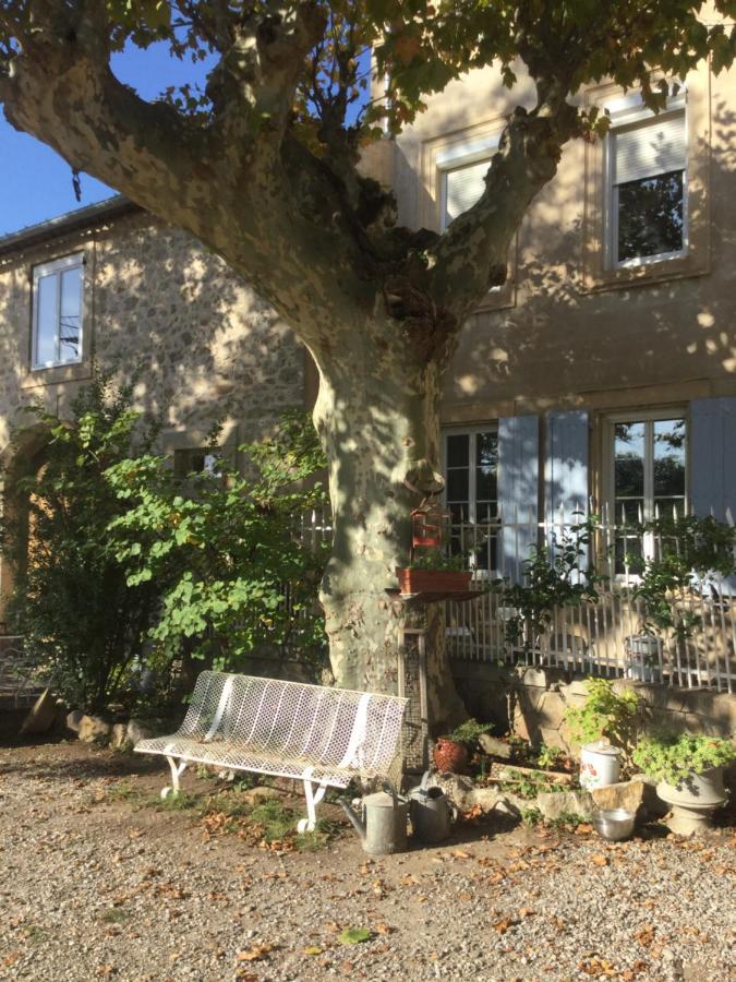 Chez Les Brocs B&B Canet  Exterior foto