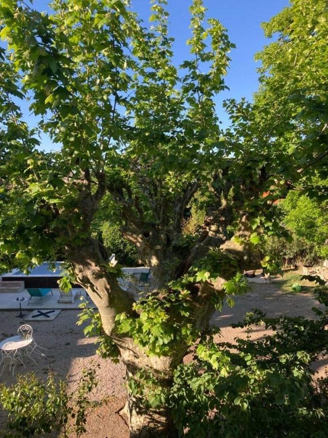 Chez Les Brocs B&B Canet  Exterior foto